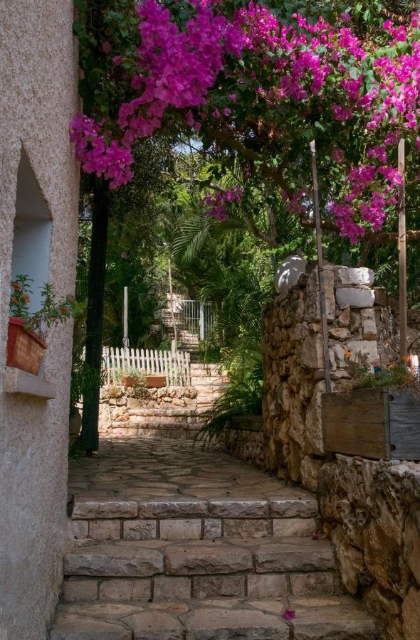 زخرون يعقوب Natural Reserve Apartment المظهر الخارجي الصورة